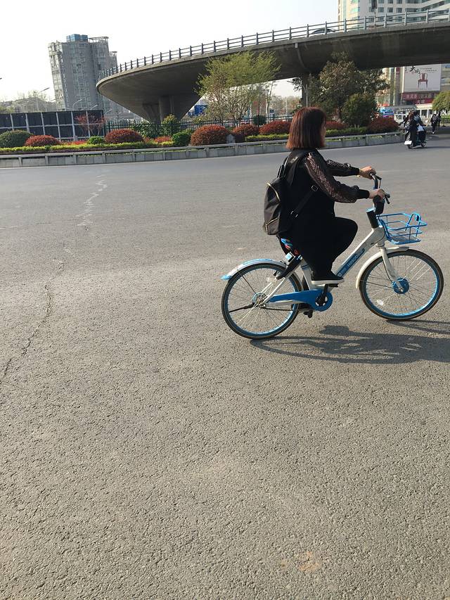 跟着我一起寻找春天的脚步