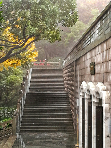 "西湖真的很大，许多景点虽然都在西湖畔，却相距甚远。比如雷峰塔和断桥就隔着一汪碧绿的湖水，两两相望_雷峰塔"的评论图片