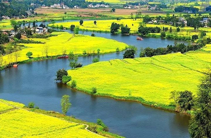 潼南的油菜花节在三月近千个品种的油菜花在潼南崇龛镇竞相怒放金色