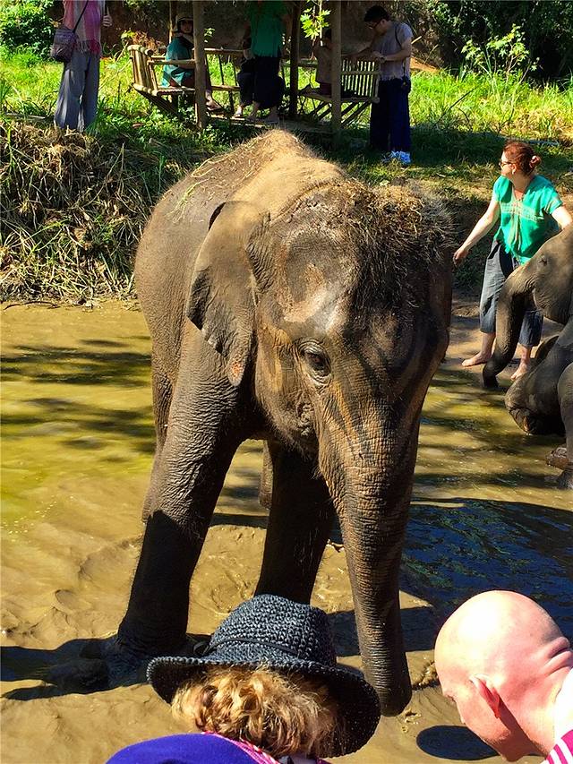Ran-Tong大象保护中心