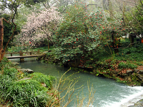 龙井村旅游景点图片