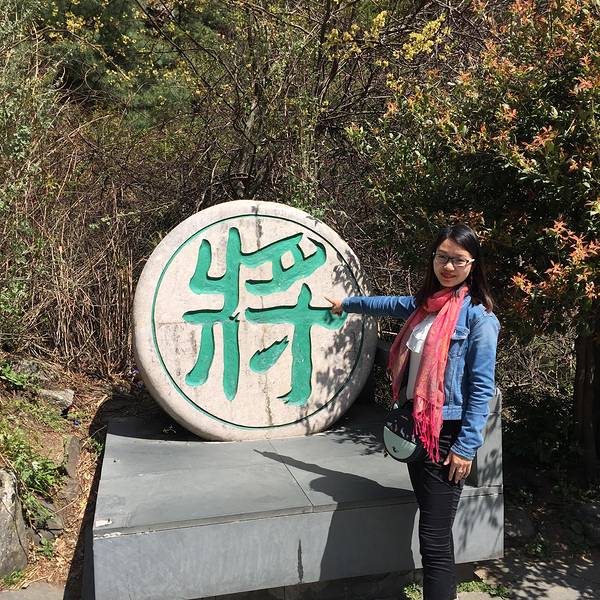 国庆各省旅游收入排行_2018年云南旅游收入(3)