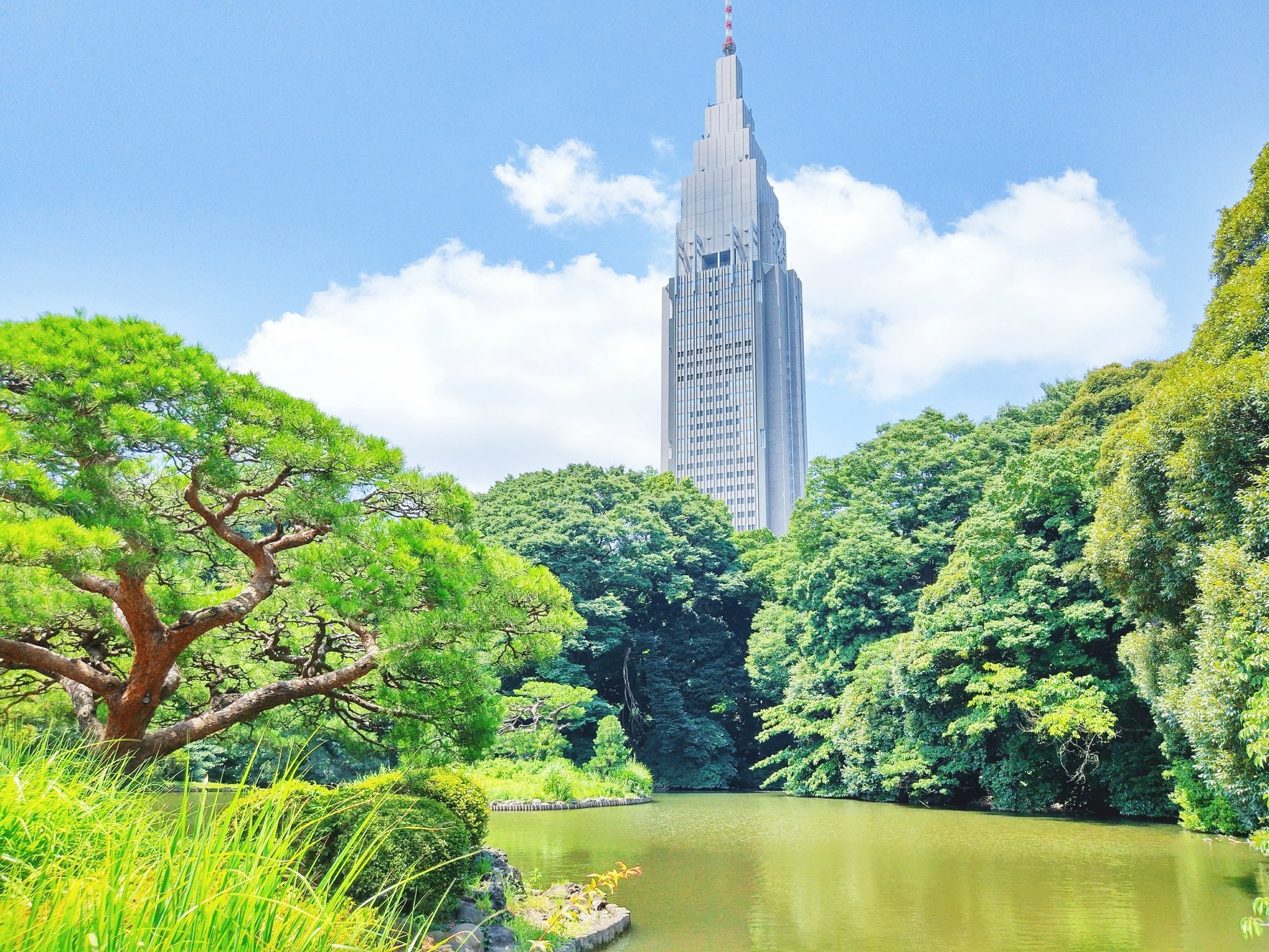 新宿御苑是一座融合了包括日式,英式,法式等多种样式庭园风格的大型