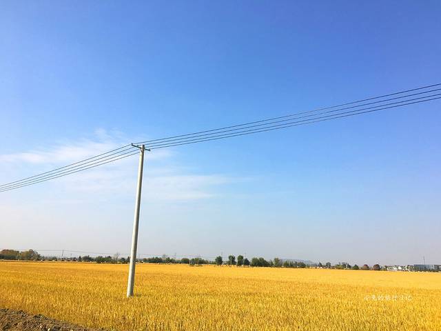 南京湖熟现代农业示范区