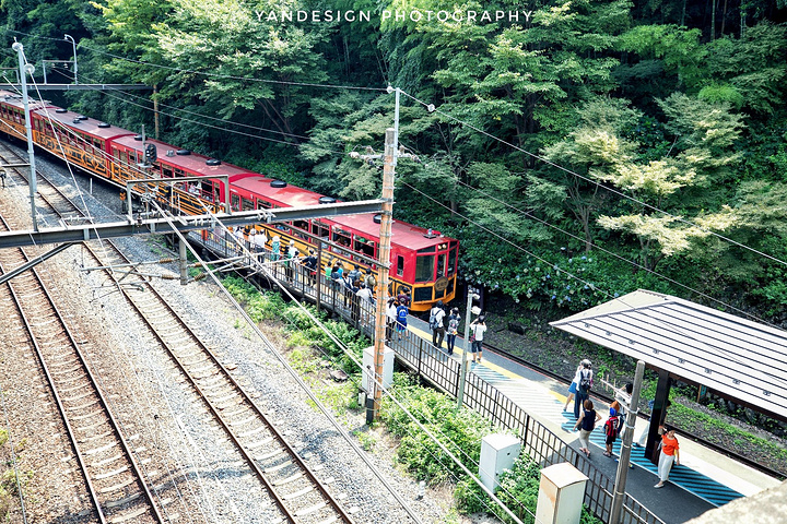 真的非常感谢。岚山的小火车是当地的一个特色