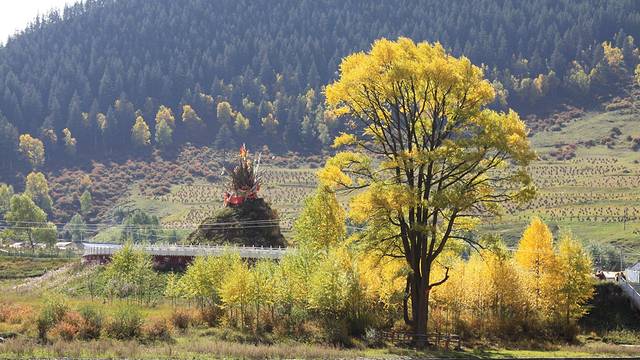 仙米国家森林公园