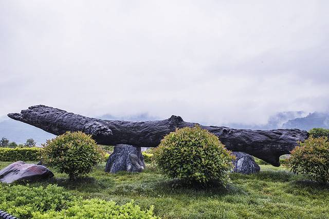 通江银耳博物馆