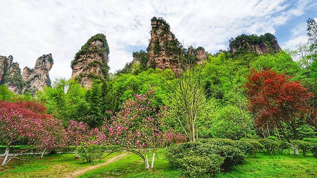 张家界国家森林公园-大氧吧广场