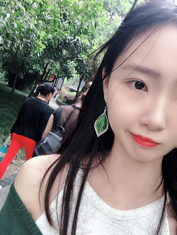 就在熊猫旁边蔓蔓青萝萝莉3篇点评非常好,不虚此行,推荐!