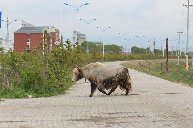 青海原子城纪念馆