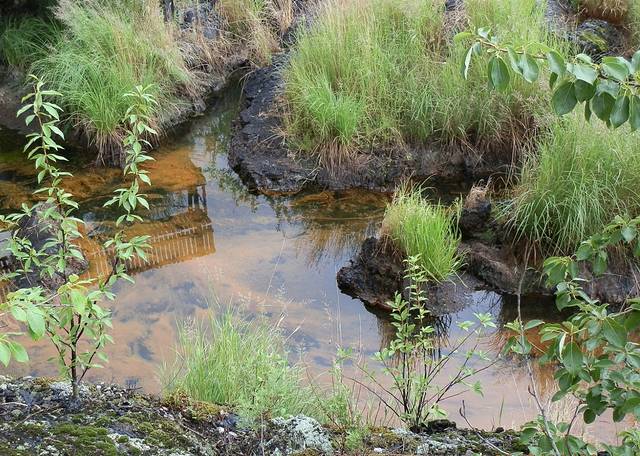 药泉景区-二龙眼泉