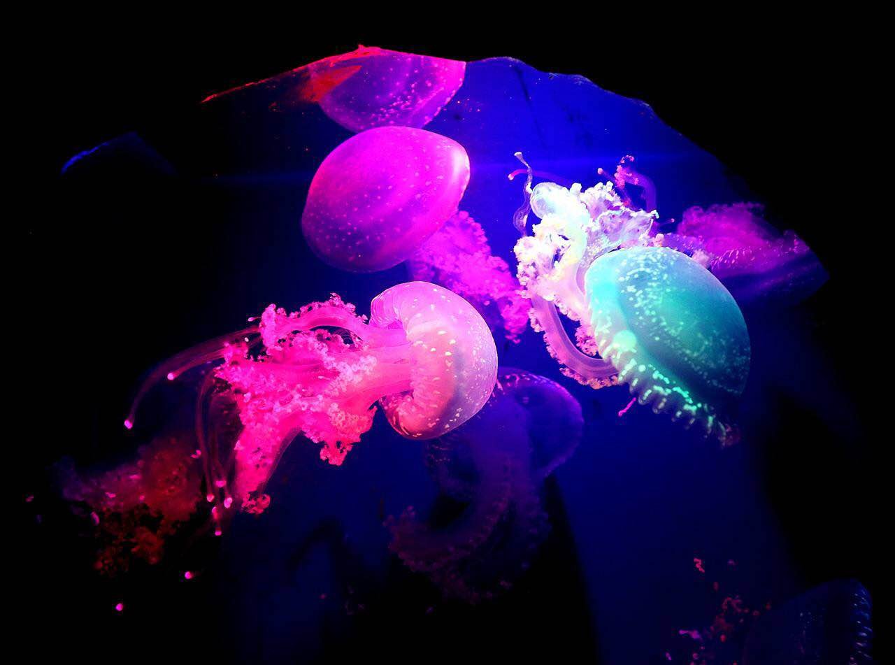   “四季休闲”亲子之旅，遇见最好的时光