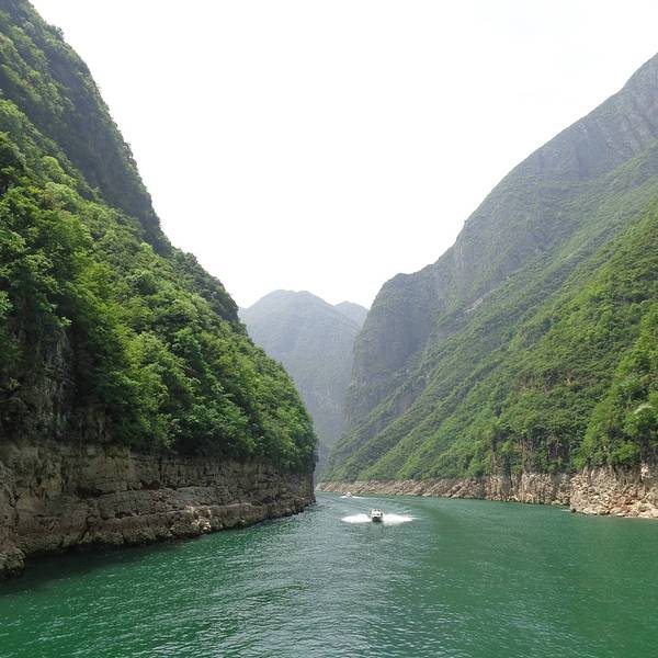 7f5895f9e3b194b5.jpg_600x600x70_eccfc72e.jpg