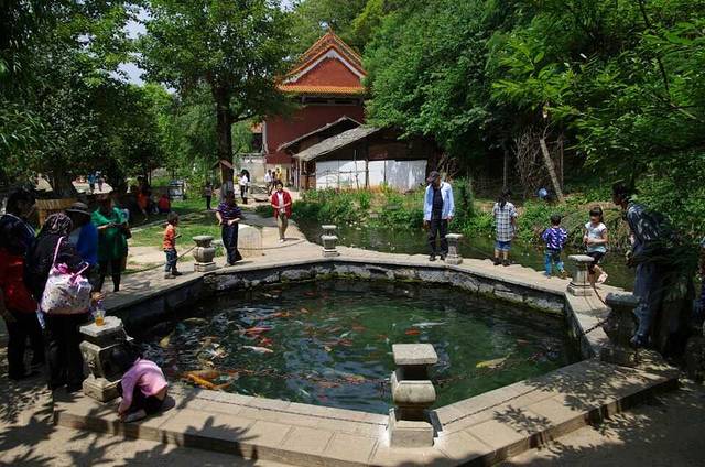 云南丰泽园植物园