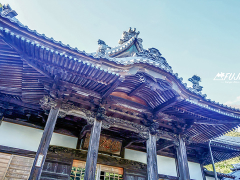 修善寺旅游景点图片