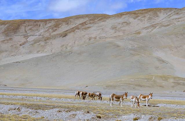 昆仑山世界地质公园