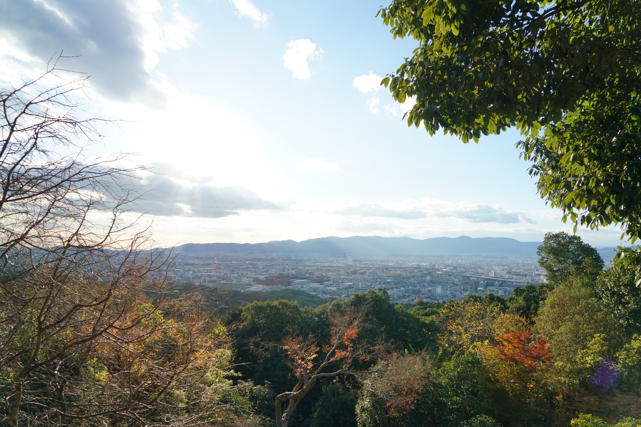 2023伏见稻荷大社游玩攻略,山腰上得风景已经很好啦~山顶.