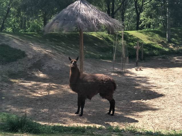 北京野生动物园步行游览区 
