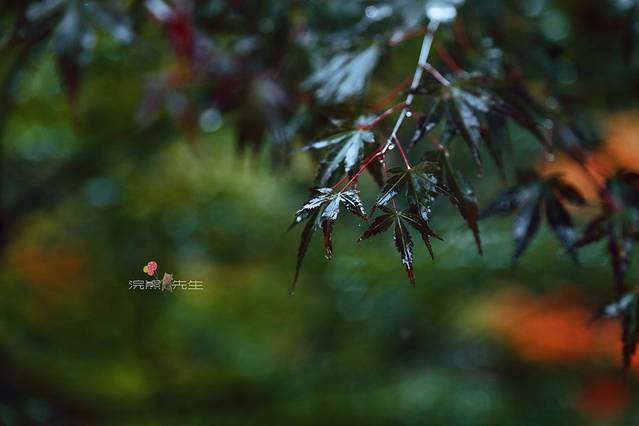日光二荒山神社