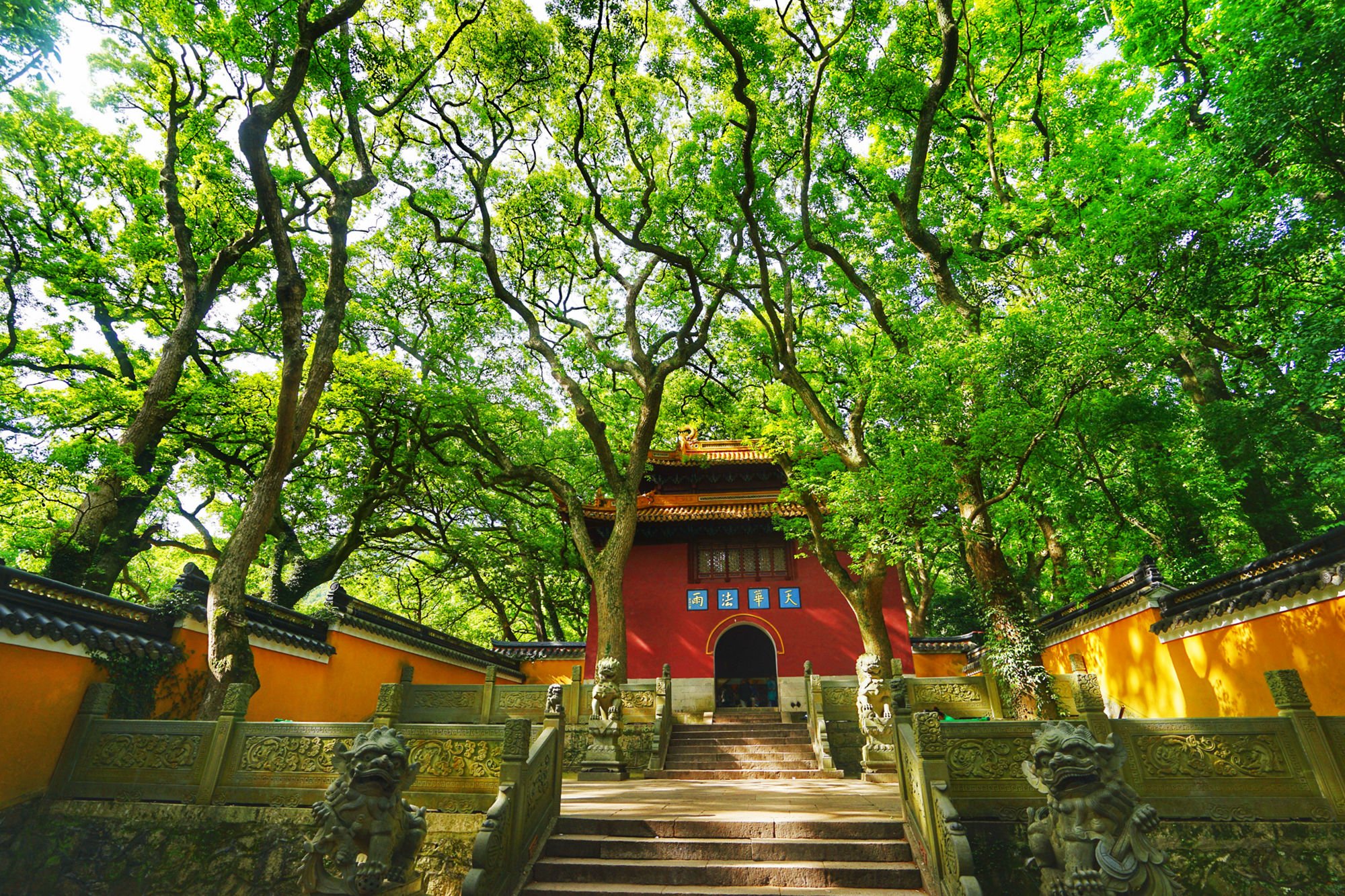 八年拆迁南京明故宫琉璃瓦,九龙藻井等物发往法雨禅寺建成的,这目前