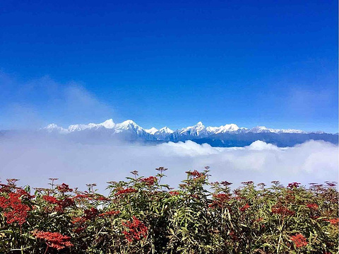 牛背山旅游景点攻略图