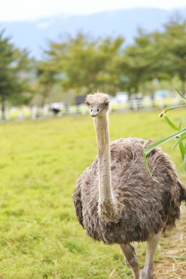 静浦北回归线界标