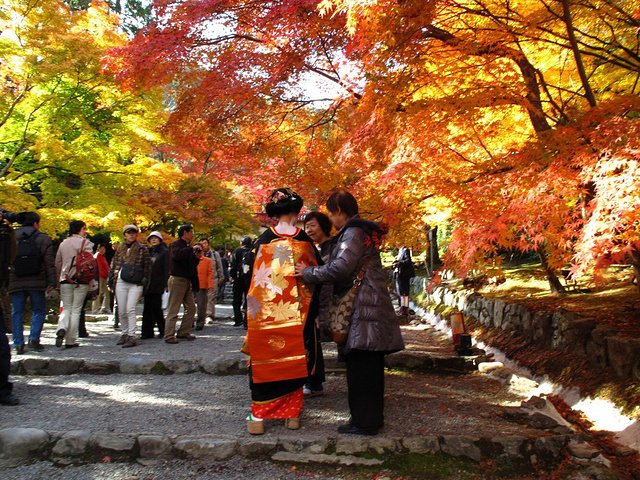 21宝严院 天龙寺 竹林小道 常寂光寺 落柿舍午餐 二尊院 宝筐院 这些地方的红叶都美到极致 可姐 宝严院 评论 去哪儿攻略