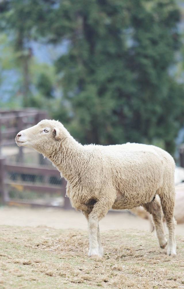 静浦北回归线界标
