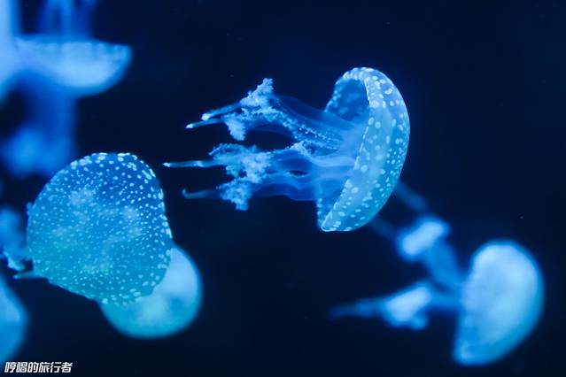 张家港梦幻海洋王国