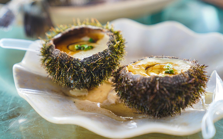 再给孩子来一份海胆蒸蛋,这一顿,完美_陵水疍家渔排"的评论图片