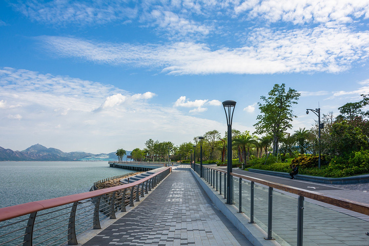 因为那时候不限制自行车,人也很少,想怎么骑都是可以的_深圳湾公园&