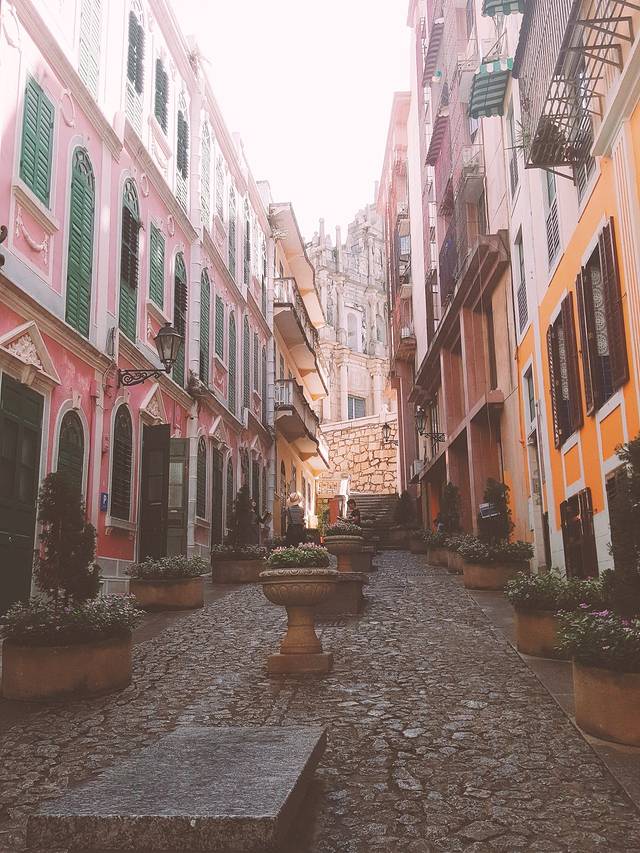 金燕西洋牛油糕葡式食品