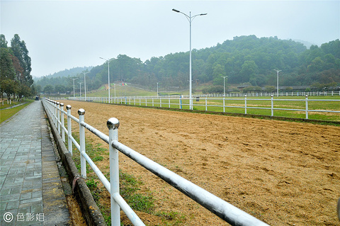 2019御盛森林马场_旅游攻略_门票_地址_游记点评,广州旅游景点推荐