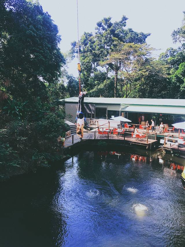 AJ Hackett雨林蹦极