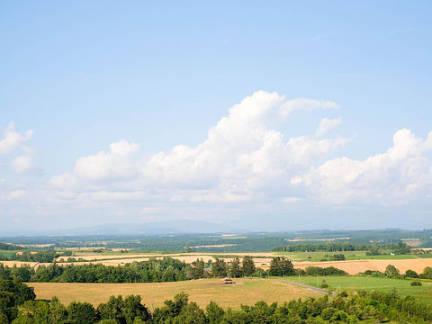 2020三爱之丘展望公园-旅游攻略-门票-地址-问答-游记点评,美瑛町旅游
