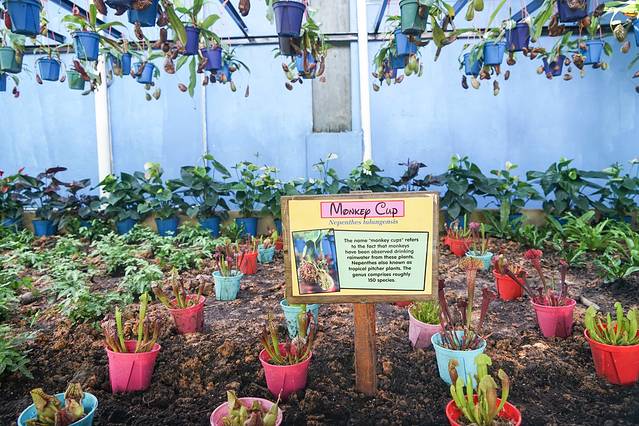 兰卡威野生动物园