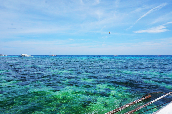 也不知道是谁说的阿罗娜海滩的海水很脏也不干