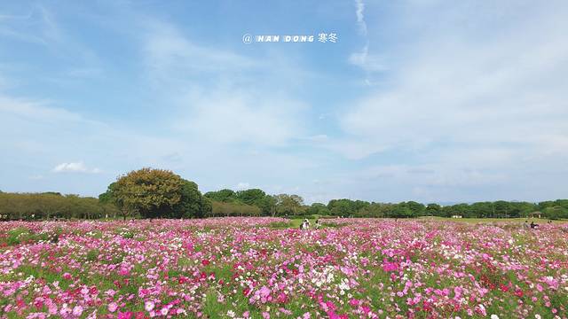 海之中道海滨公园