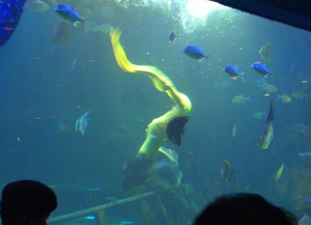 曲江海洋极地公园