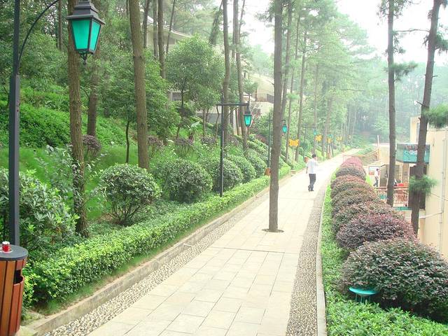 天际岭国家森林公园