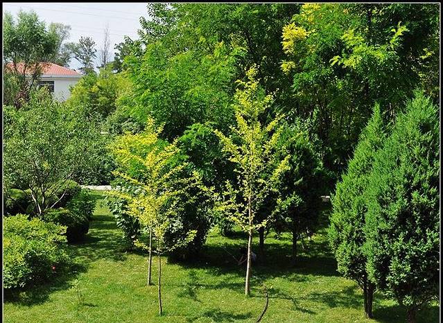 徐家山国家森林公园