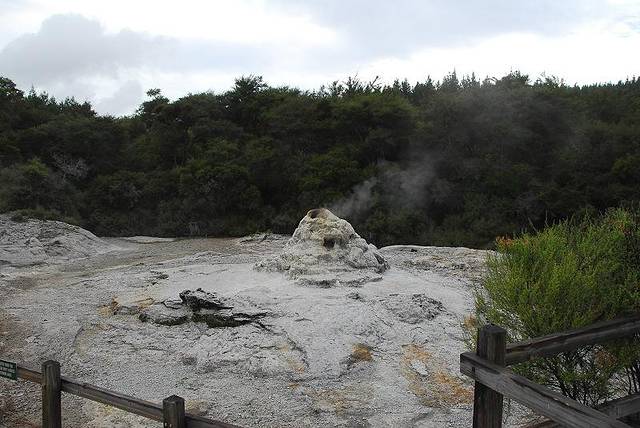 Lady Knox Geyser 间歇泉