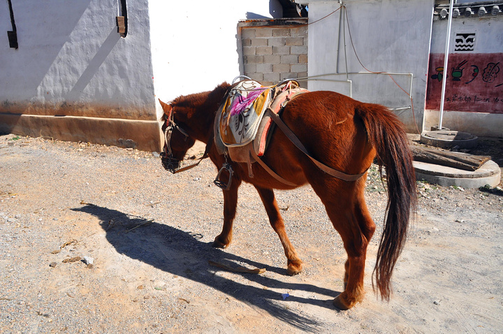 一漂亮的小院二漂亮的小院三丰盛的马帮火锅浓浓的鸡汤里有土皮,土豆