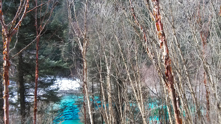 海长海五彩池诺日朗瀑布老虎海树正海这几个都玩过来了个人认为冬天五