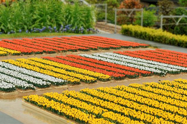 马德罗丹小人国公园