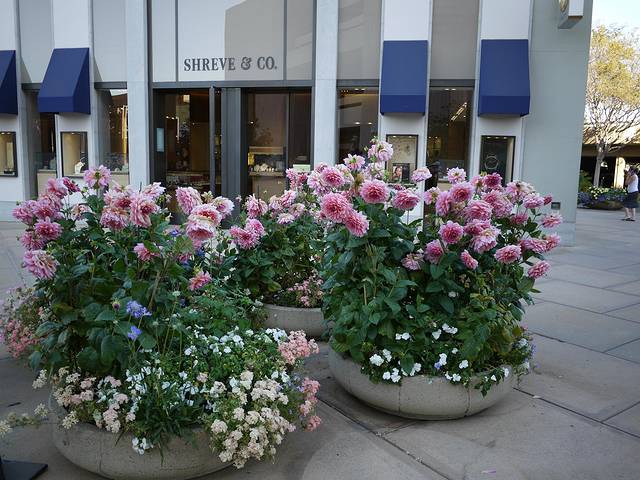 内曼·马库斯百货