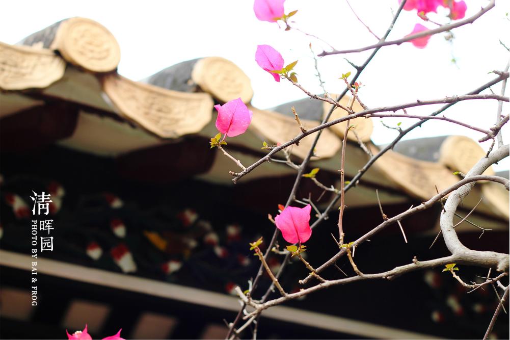 建于清嘉庆五年,精巧的建筑有池塘假山衬托,另外更缀以蓝素馨,玉兰