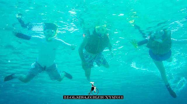 Inter-Island Helicopters