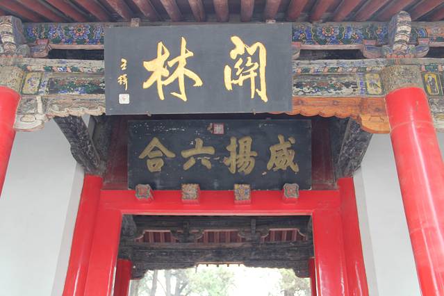 疯女人疯疯癫癫之北京,洛阳,开封之旅