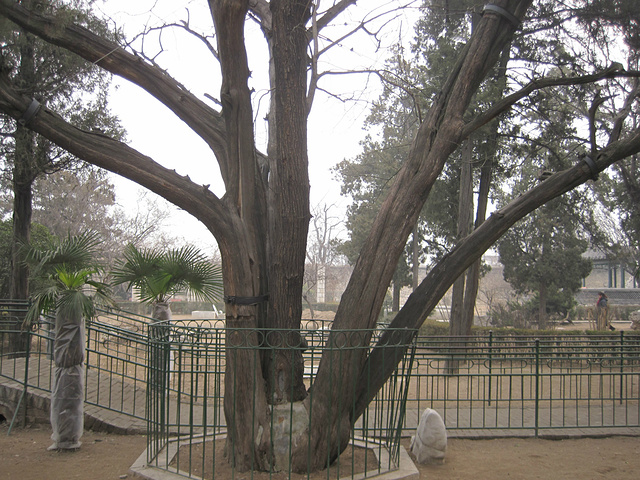 颜回庙,孔子著名学生之一,自有孔子居于阙里,而颜回居于陋巷孔家子孙